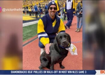 Victor the Frisbee Dog Catches Attention at Michigan Football Games