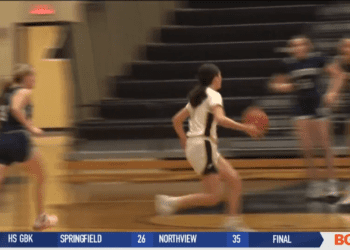 Perrysburg Stings Napoleon, Yellow Jackets Improve to 12-5