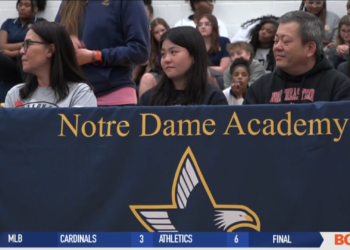 Demajeo Wiggins Win MVP of Hungarian Cup Championship