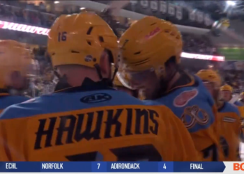 Brandon Hawkins Seals Walleye Victory in Overtime