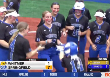 Springfield and Perrysburg Win District Semis, will Meet Friday in Final