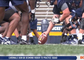 Dallas Gant Signed to the Vikings Practice Squad