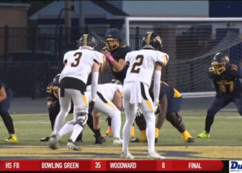 Whitmer Shuts out Northview