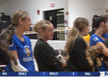 Northview Volleyball Beats Findlay, Raises Money for Lucas County Pit Crew