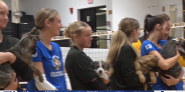 Northview Volleyball Beats Findlay, Raises Money for Lucas County Pit Crew