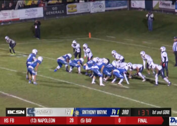 Fish Fall to Fort Wayne 5-1