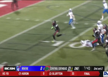 Fish Fall to Fort Wayne 5-1