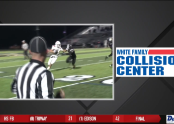 Fish Fall to Fort Wayne 5-1