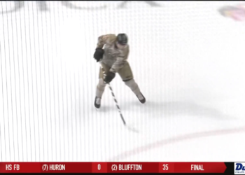 Fish Fall to Fort Wayne 5-1