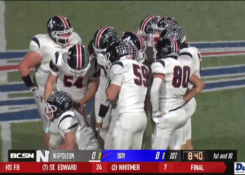 Fish Fall to Fort Wayne 5-1