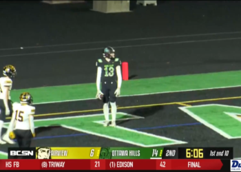 Fish Fall to Fort Wayne 5-1