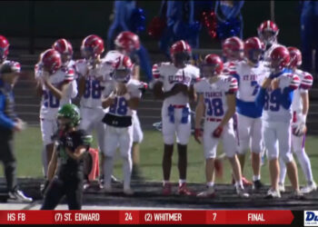 Fish Fall to Fort Wayne 5-1