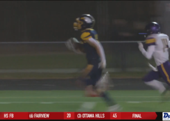 Fish Fall to Fort Wayne 5-1