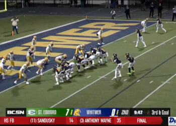 Fish Fall to Fort Wayne 5-1