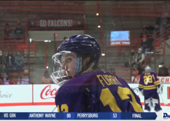 Top 20 Athletes: Hockey