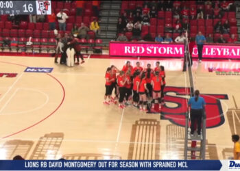 Falcons to Play for NVIC Title