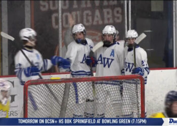 Anthony Wayne Dominant in Playoff Opener