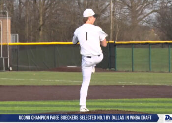 Perrysburg’s Tyler Palmer Tallys 15 Strikeouts in 2-1 Win