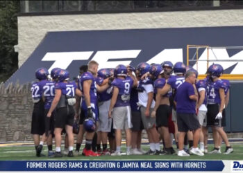 Guelfi, Dolphins Boast Dominant Defenses for Championship Contest