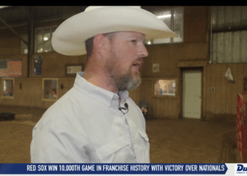 Horses Are A Little Blessing For Marine Corp Veteran Paul Marshall