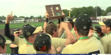 2025 Mid-Year Recap: May and June