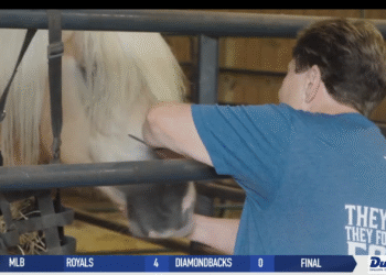 Horses Are A Little Blessing For U.S. Air Force and Army Veteran Robin J. Giles