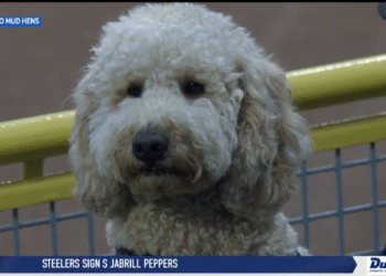 BGSU’s Eddie George to Speak at NFF Banquet
