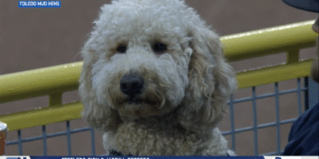 BGSU’s Eddie George to Speak at NFF Banquet