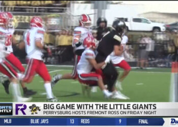 Sidekicks: Knights’ Continue To Shine, Yellow Jackets Keep On Stinging