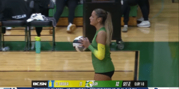 Above the Net