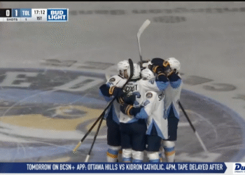 Walleye Are Bested By Heartlanders 2-1