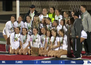 Perrysburg Keeps On Buzzing, Advances To Final Four After Dominant 4-1 Win over Strongsville