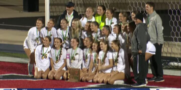 Perrysburg Keeps On Buzzing, Advances To Final Four After Dominant 4-1 Win over Strongsville