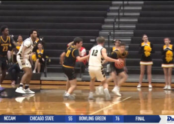 Perrysburg Stings Their Way to Big Win over Northview