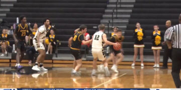 Perrysburg Stings Their Way to Big Win over Northview