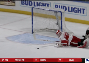 Walleye’s Win Streak Halts At Ten Games, Toledo Falls To Iowa 2-1 At Home