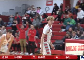 Walleye Clip Wings In 2-1 Win