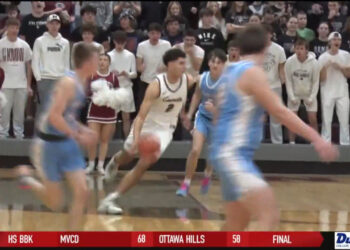 Walleye Clip Wings In 2-1 Win