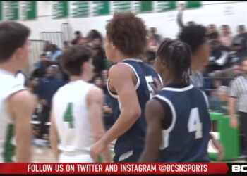 Walleye Clip Wings In 2-1 Win