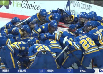 Lake Superior State Beats Bowling Green Hockey 1-0