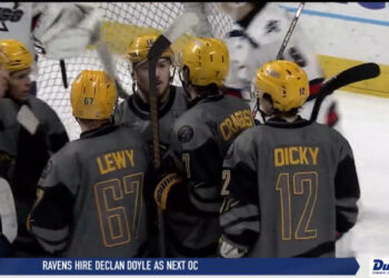 Walleye Fall Short Against Wings on Bonefish Night, 3-2