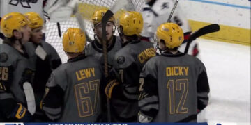 Walleye Fall Short Against Wings on Bonefish Night, 3-2