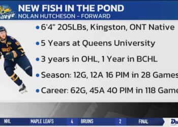 Walleye Sign Two New Players As Playoffs Draw Closer