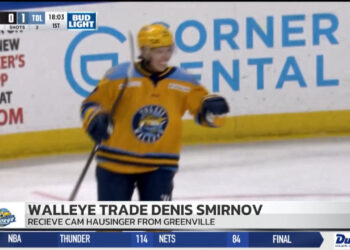 Walleye Trade Denis Smirnov To Swamp Rabbits