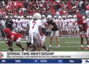 Ohio State Vets Put An Emphasis On Mentorship During Spring