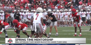 Ohio State Vets Put An Emphasis On Mentorship During Spring