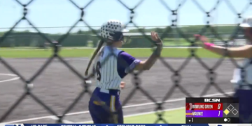 Feline Foes In District Semifinal, Maumee Pounces Early In 11-0 Run Rule