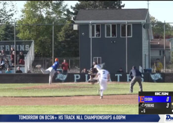 Perkins Shuts Out Edison 5-0