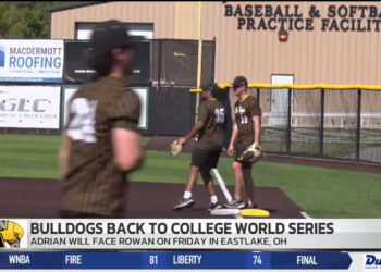 Adrian Bulldogs Advances to D-III College World Series