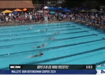 Toledo Summer Swim League Championships Make a Splash in Sylvania